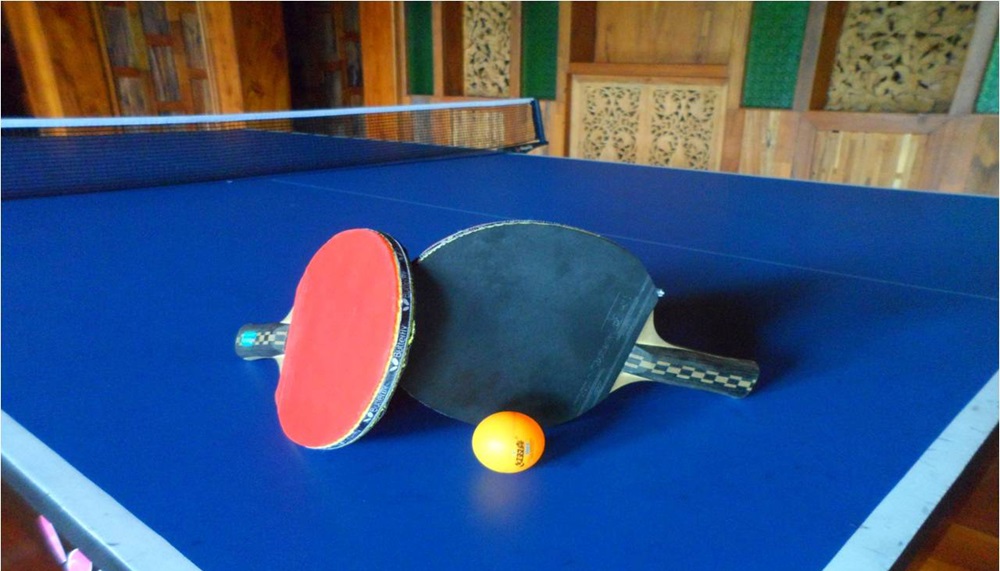 Table Tennis Clinic Santhiya Resorts & Spas
